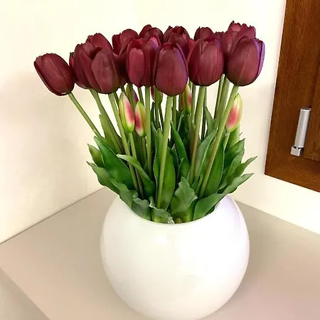 Mini-hôtel Casa Nostra 4*