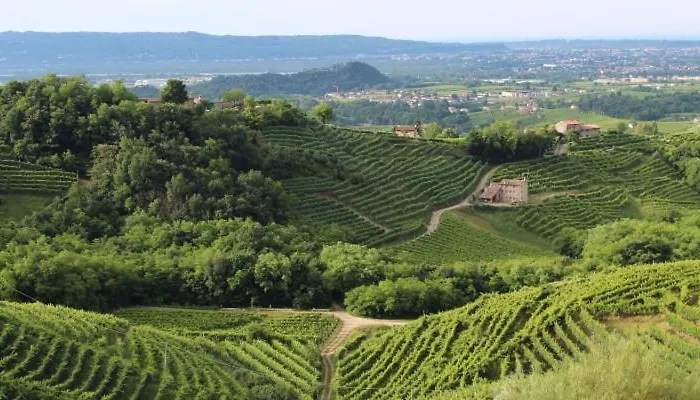 Casa Nostra 4* Selva Del Montello